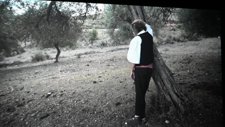 481075553_950725923923159_7536230476447254492_n