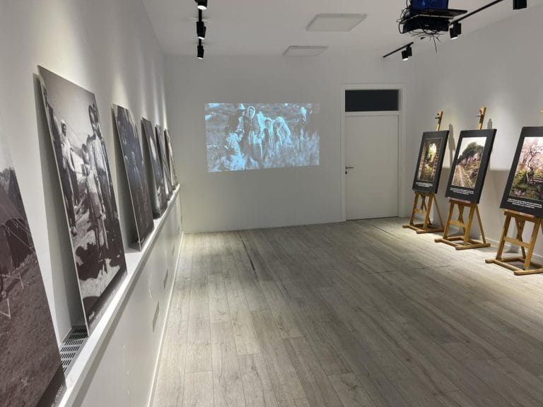 505742786_1029090456086705_4001790587389246104_n