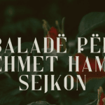 Dule dhe Beleri, në foto me flamurin e “Vorio-Epirit”